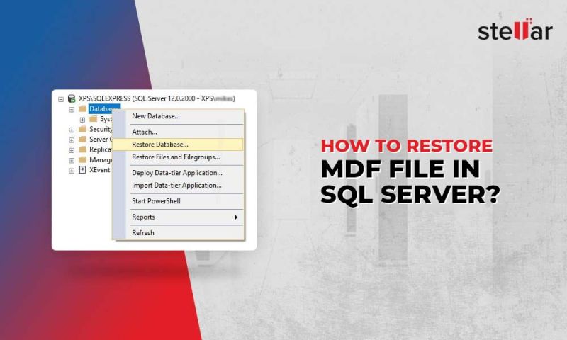 Know How To Restore Database Sql Server 2008 From Mdf File Edtech Official Blog - Premium Vintage Photo Gallery - Desktop