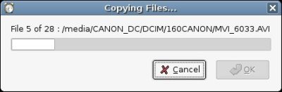 Copying Files...