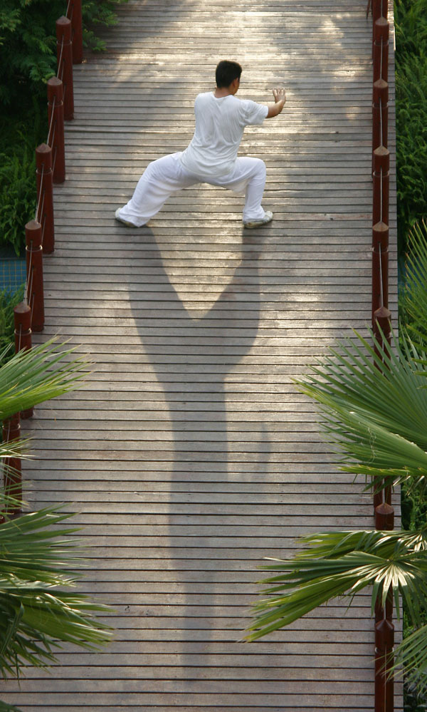 kung-fu.jpg