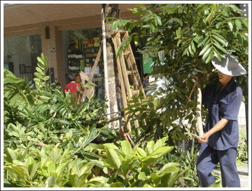 gardener-edit.jpg