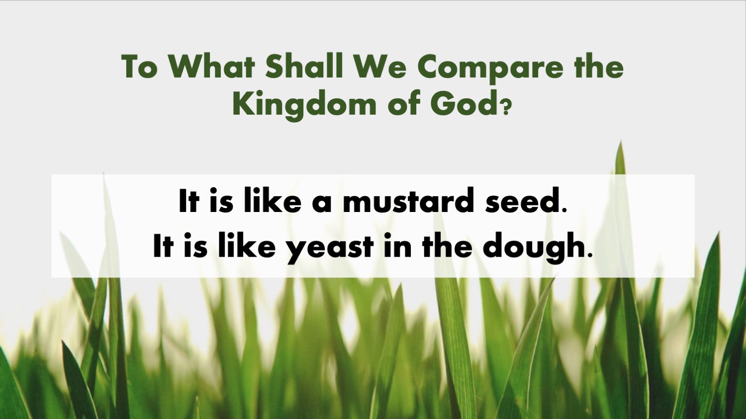 The Parable of A Mustard Seed A Sermon from Mark 43032 Steve Thomason