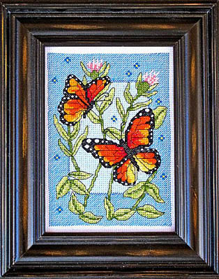 Beautiful Monarch
