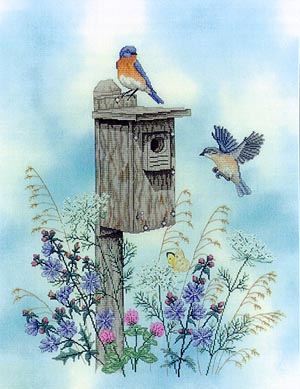 The Bluebird Trail