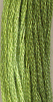 Spring Grass