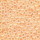 Seed Beads 00148