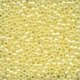 Seed Beads  02002