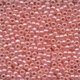 Seed Beads 02005