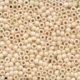 Antique Beads 03017
