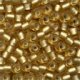 Size 6 Beads 16031