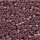 Size 8 Beads 18821