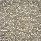 Seed Beads 2010