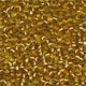 Seed Beads 2011