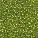 Seed Beads 2031
