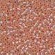 Seed Beads 2035