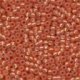 Seed Beads 2036