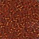 Seed Beads 2038