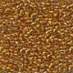 Seed Beads 2042