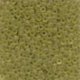 Seed Beads 2046