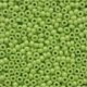 Seed Beads 2066