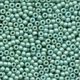 Seed Beads 2071