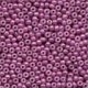 Seed Beads 2083