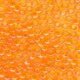 Seed Beads 2096