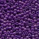 Seed Beads 2101