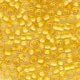 Seed Beads 2105