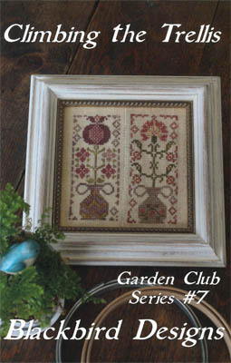 Climbing The Trellis - Garden Club #7