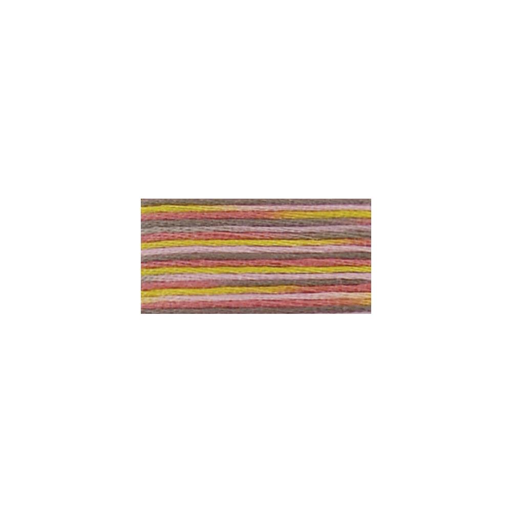 DMC Coloris 4509