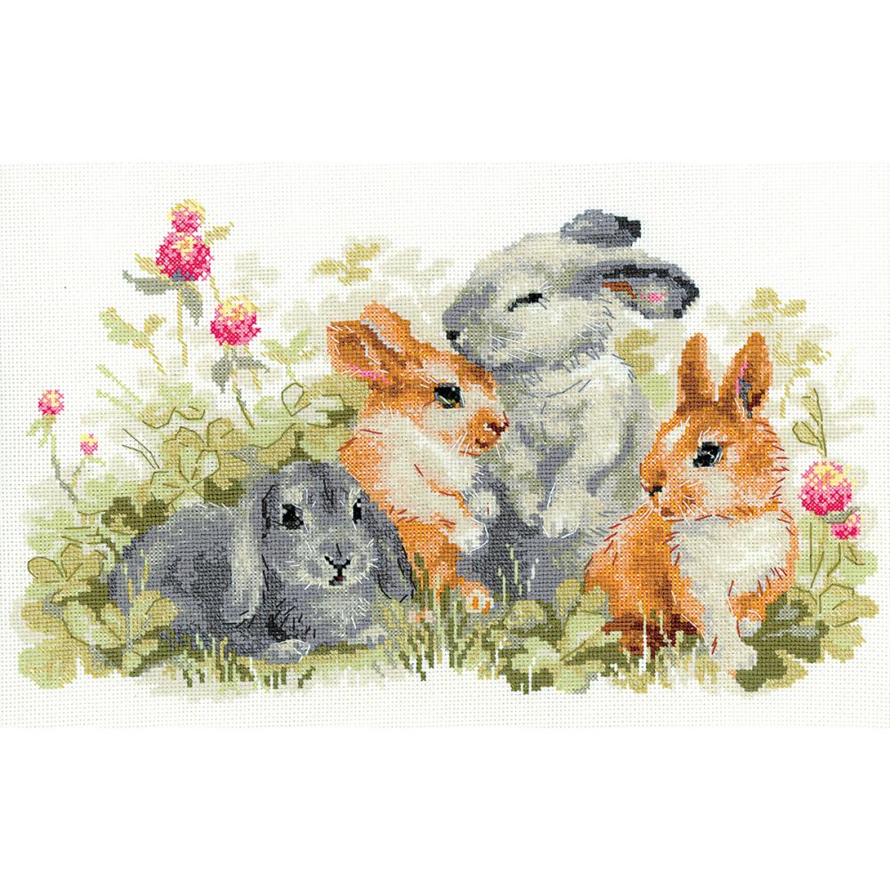 Funny Rabbits