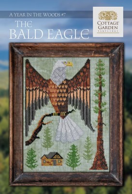 Year In The Woods 7 - The BaldEagle