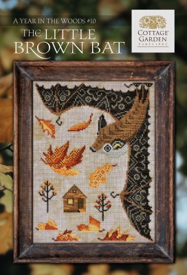 Year In The Woods 10- The Little Brown Bat