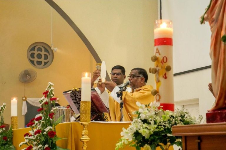 Feast Day Of St Joseph The Worker 2024 - Mobile Mountain Illustrations for Desktop
