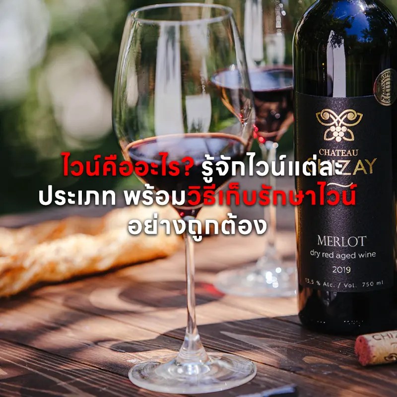 ไวน์ คืออะไร? รู้จักไวน์แต่ละประเภท พร้อมวิธีเก็บรักษาไวน์อย่างถูกต้อง