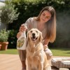 ppliquer le répulsif puces chien chat Subito Subito sur le pelage du chien