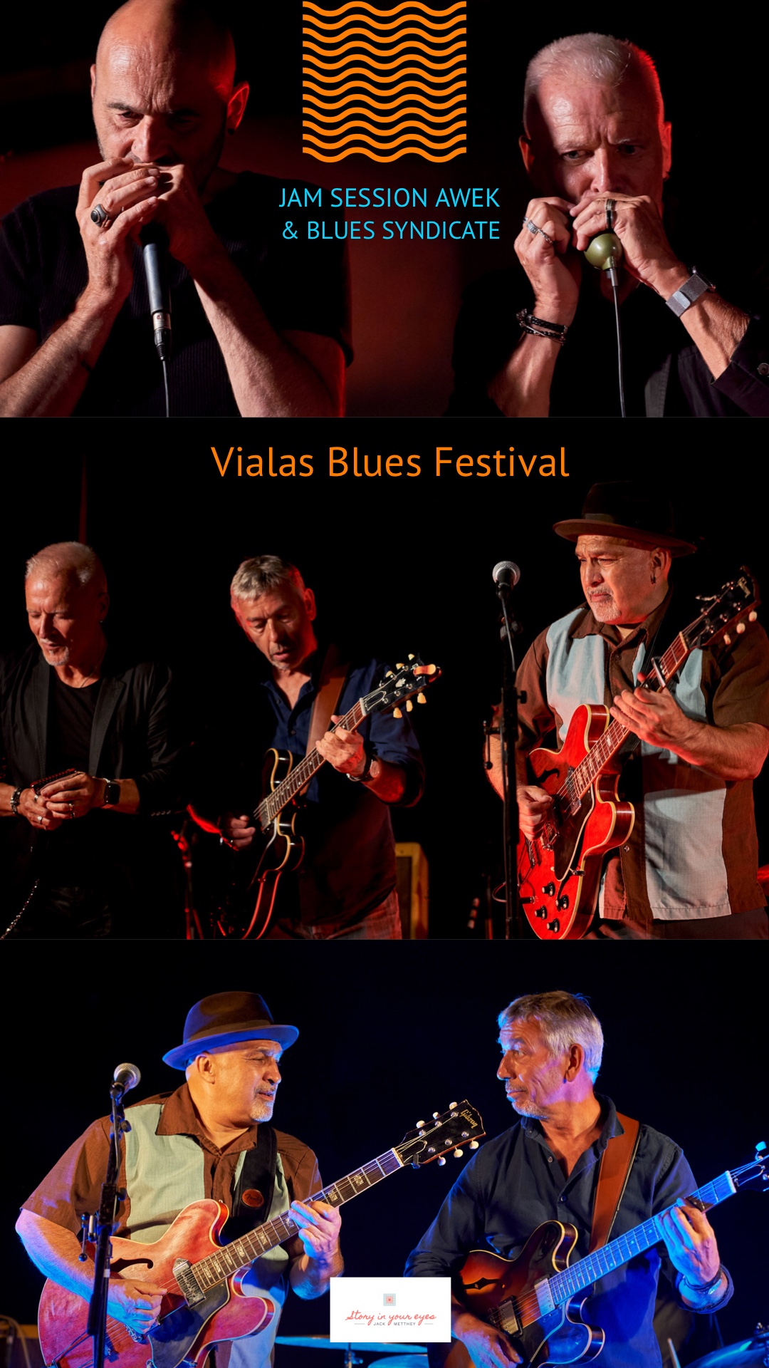 VIALAS BLUES FESTIVAL