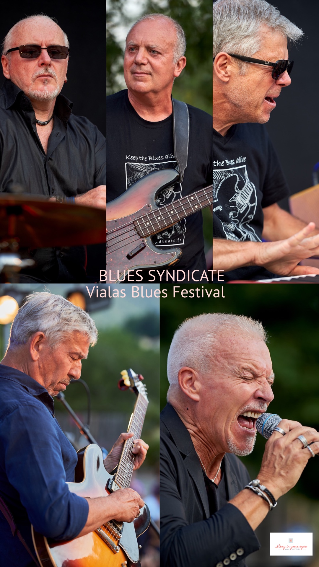 VIALAS BLUES FESTIVAL