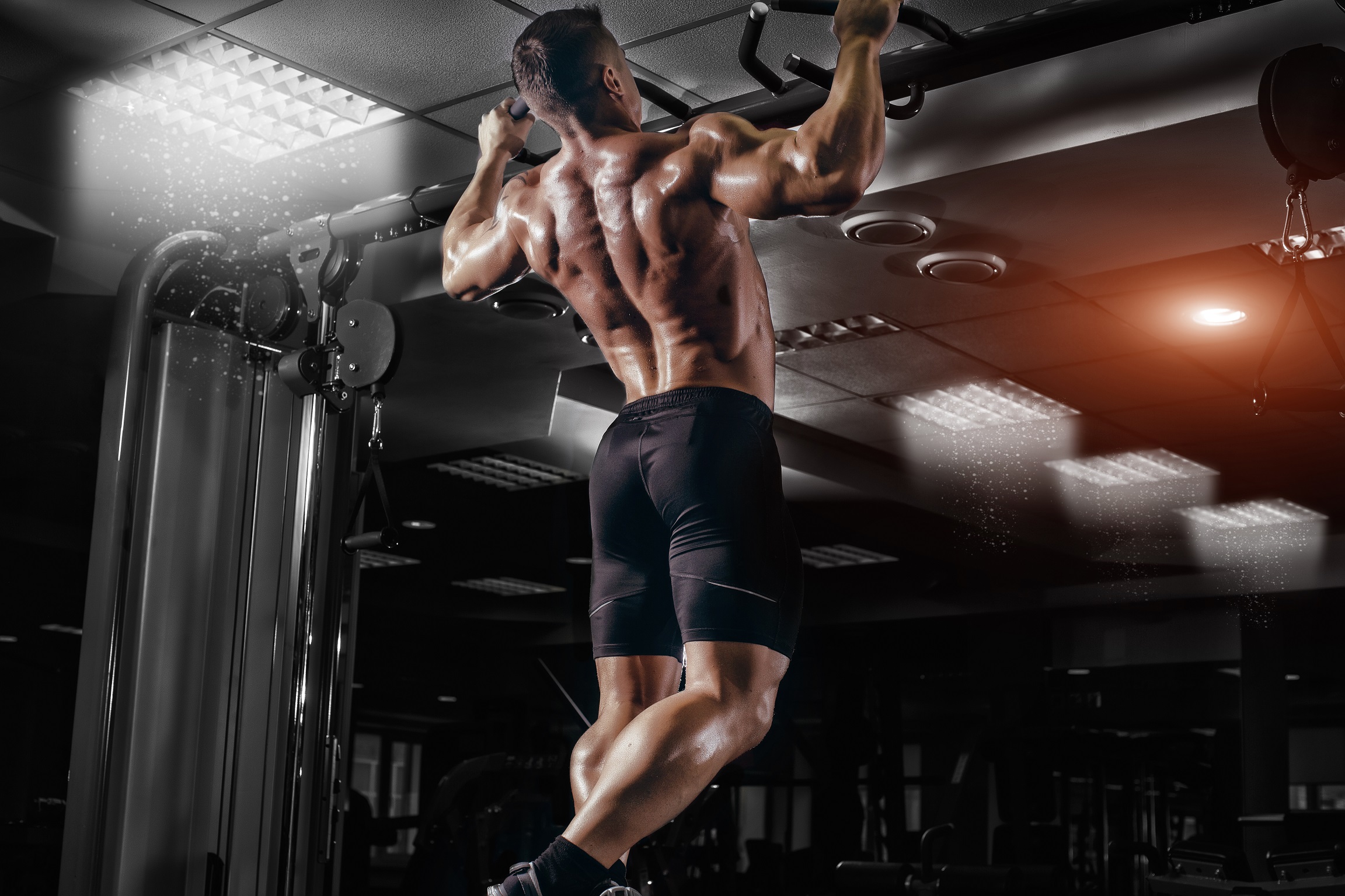 Best Back Workout Exercises - Athletic Insight