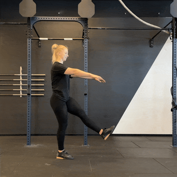 Pistol-squat.gif