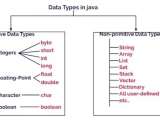 Primitive And Non Primitive Data Types In C A Detailed Overview