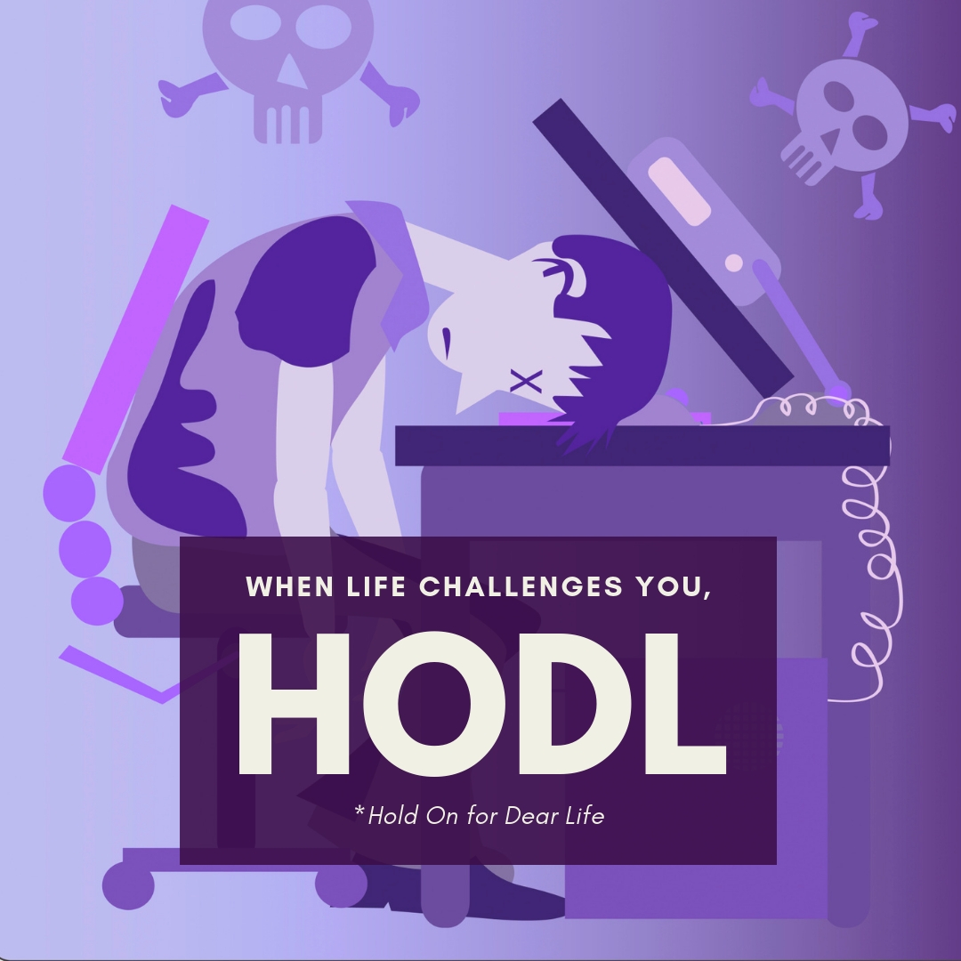 hodl instagram