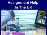 Quantitative Analysis Assignment Help Uk By Native Writers