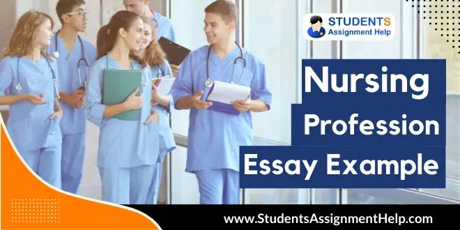 Nursing Profession Essay Pdf - Best Minimal Illustrations in Mobile