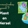 plant- en diersel