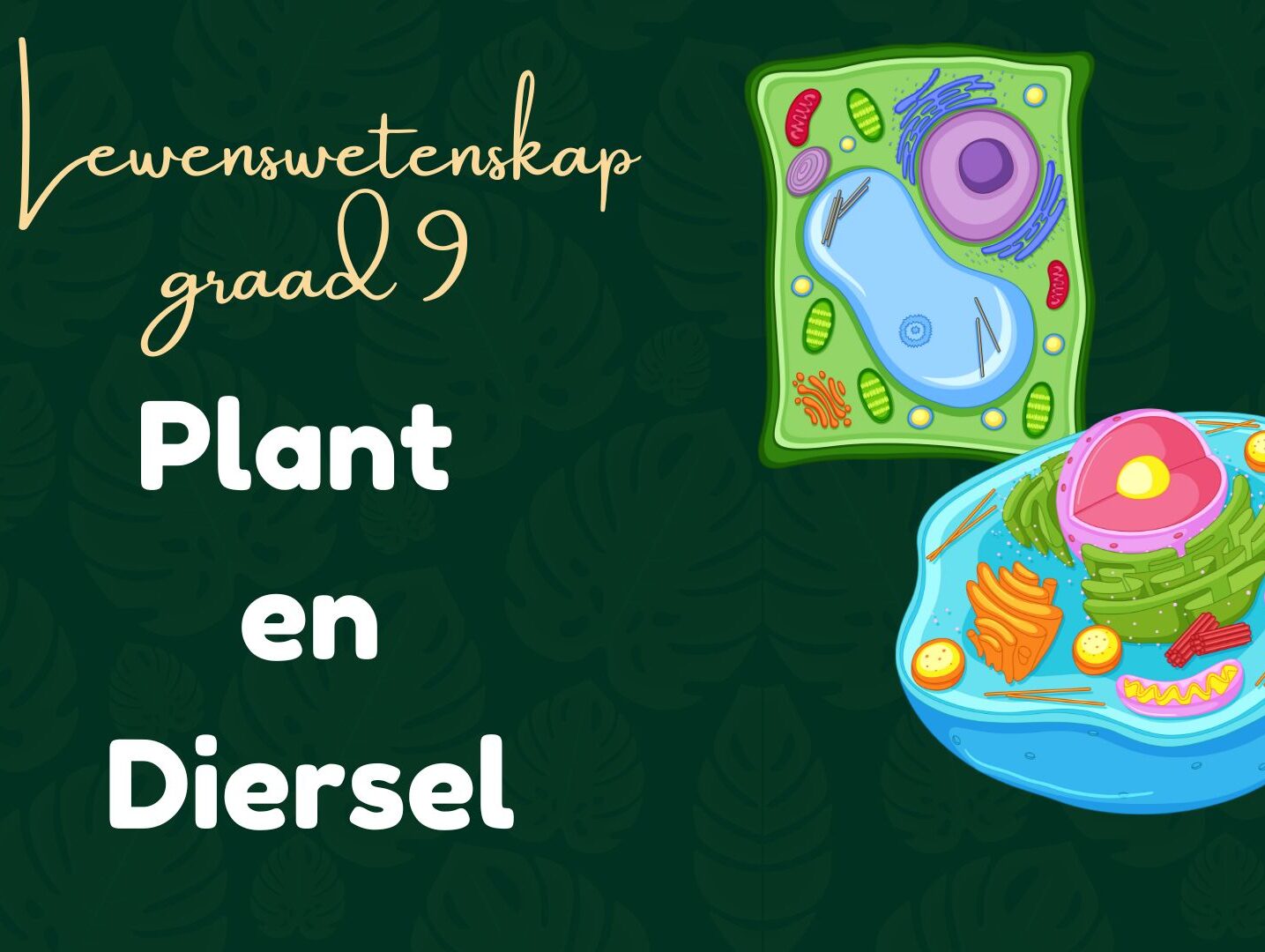 plant- en diersel