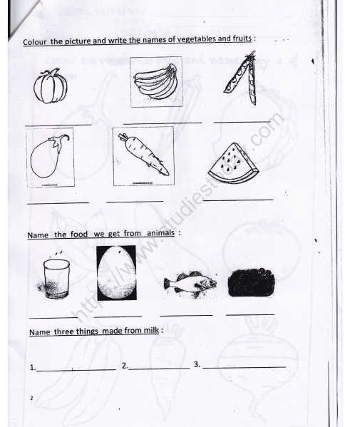 cbse class 1 evs our food worksheet set b practice worksheet for environmental studies