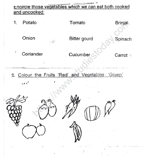 cbse class 1 evs our food worksheet set d practice worksheet for environmental studies