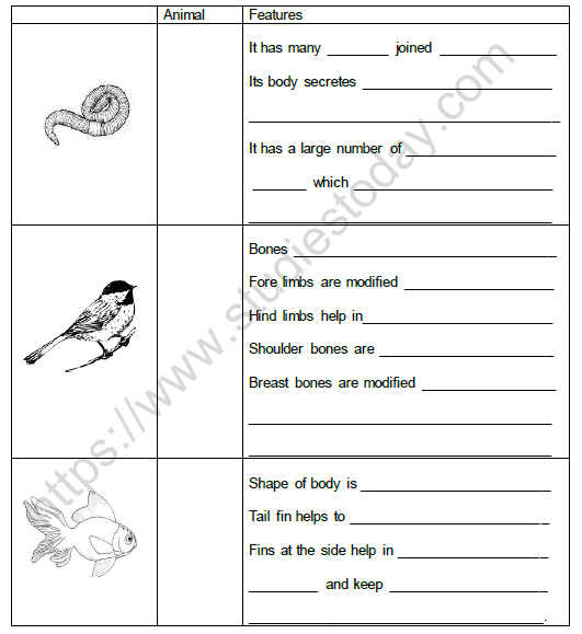 cbse class 6 science body movements worksheet set b