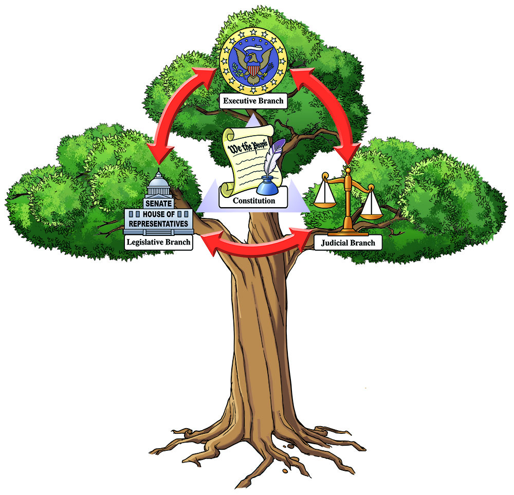 Three Branches Of Government Tree Worksheet
